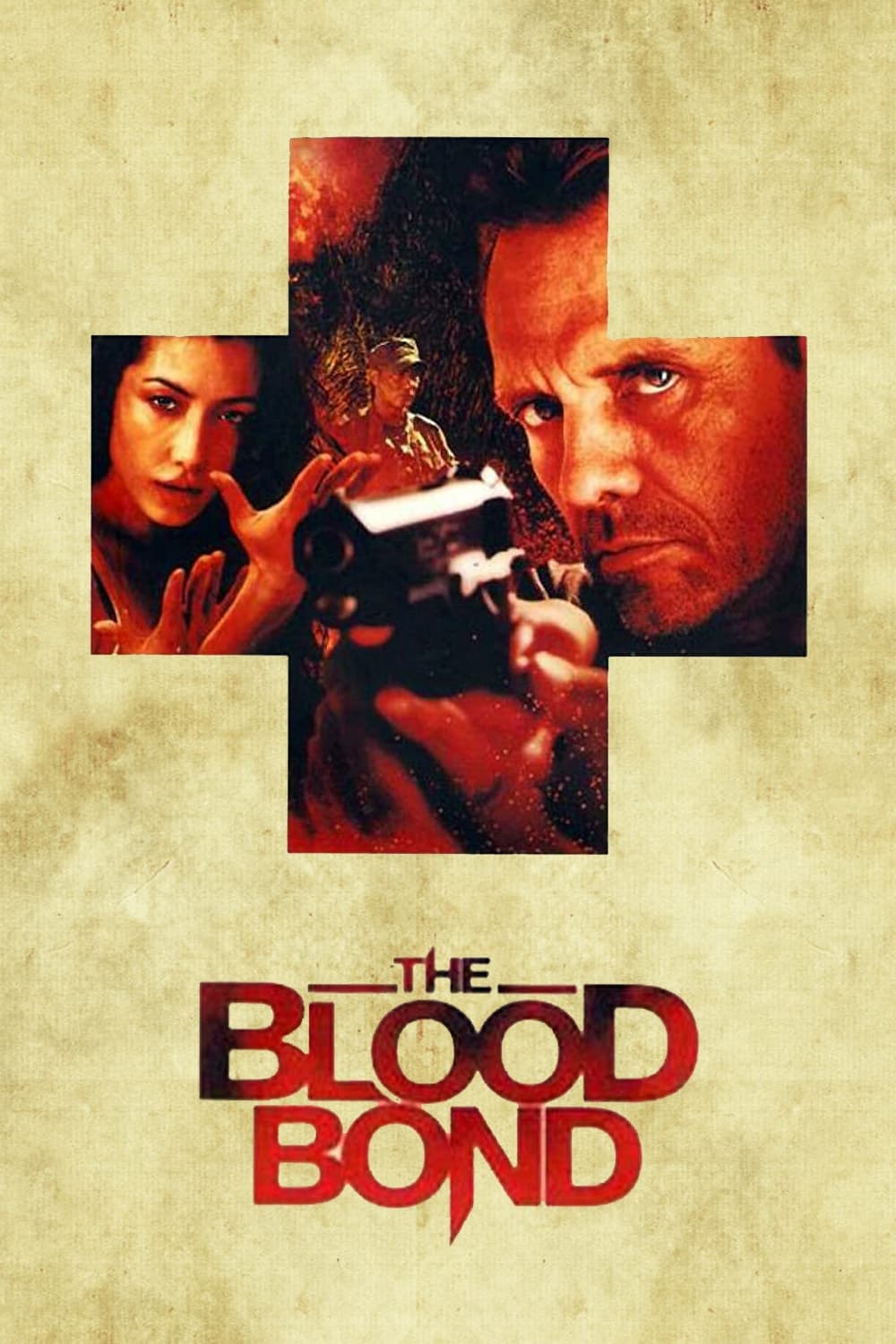 Vínculo de Sangue (2010)