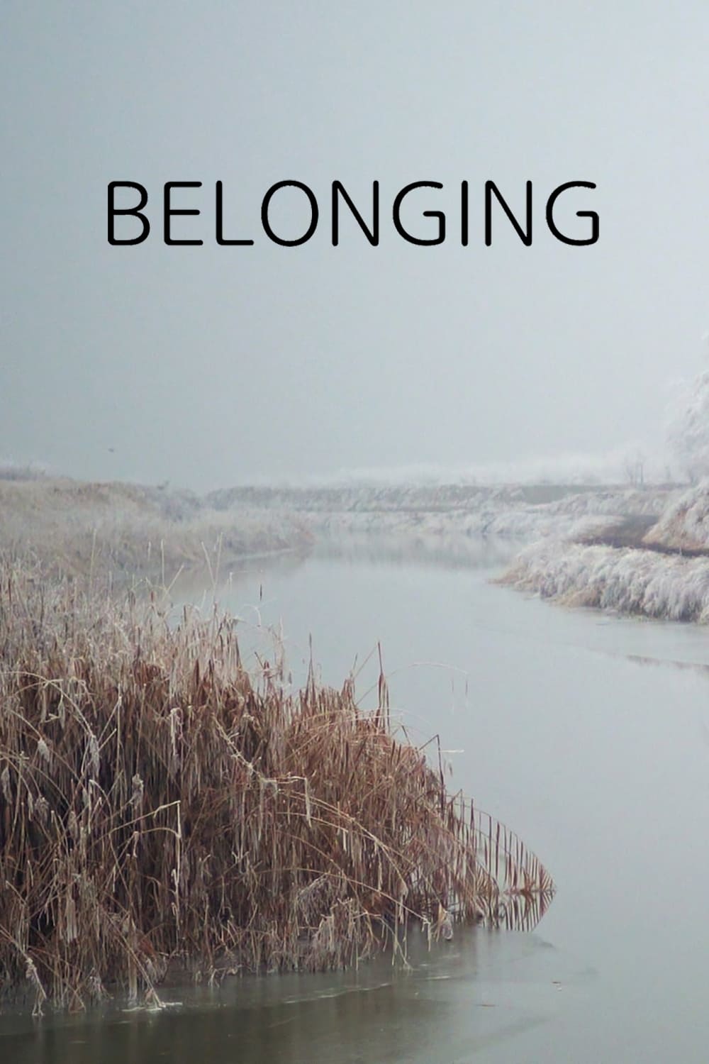 Belonging (2020)