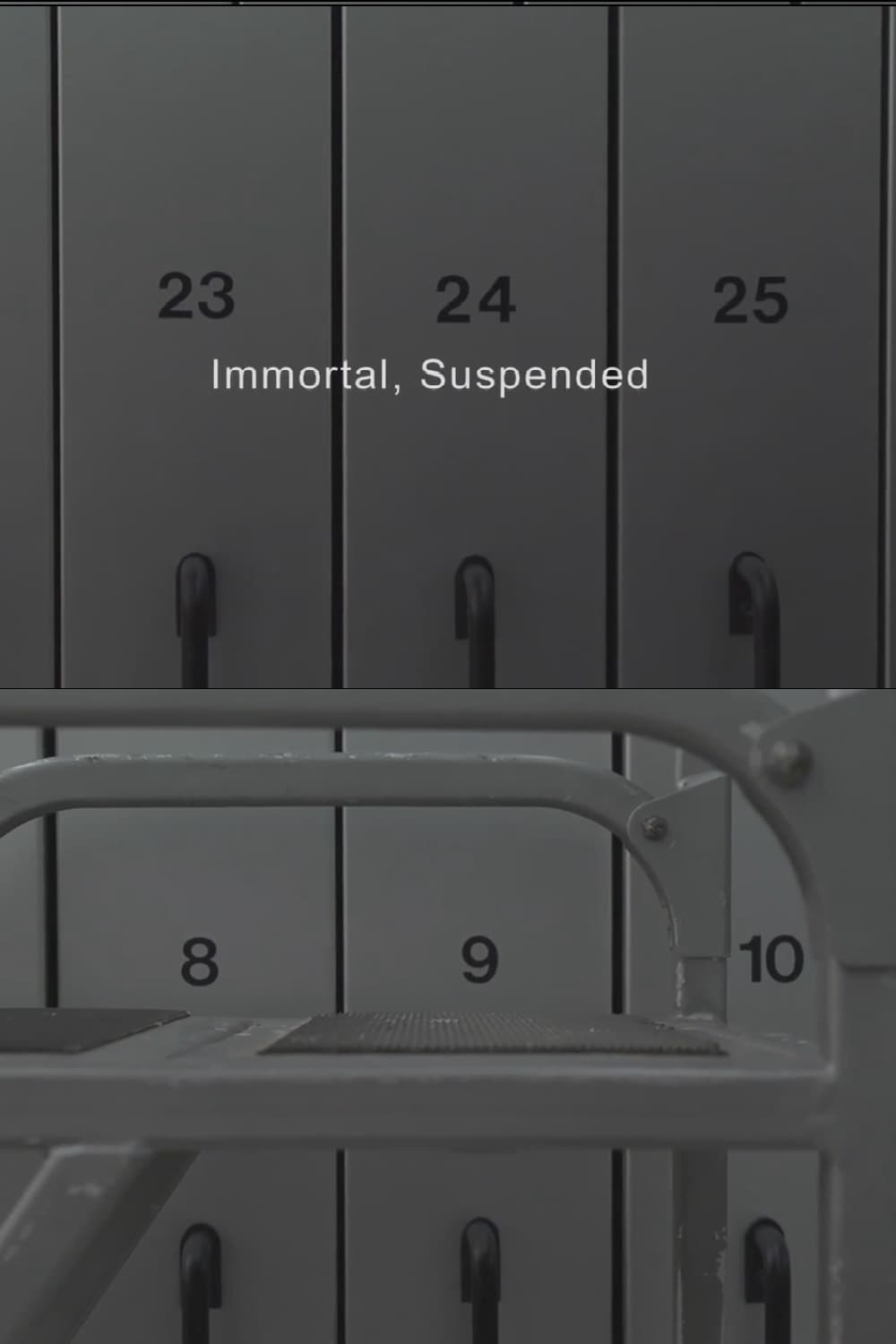 Immortal, Suspended
