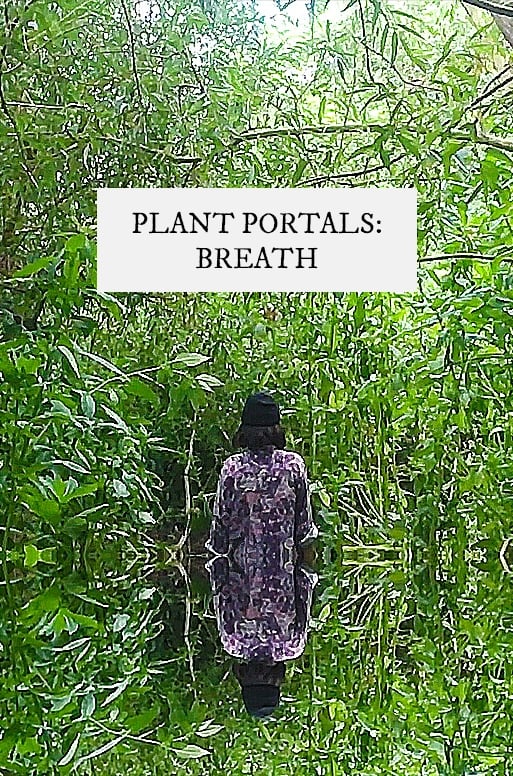 plant portals: breath
