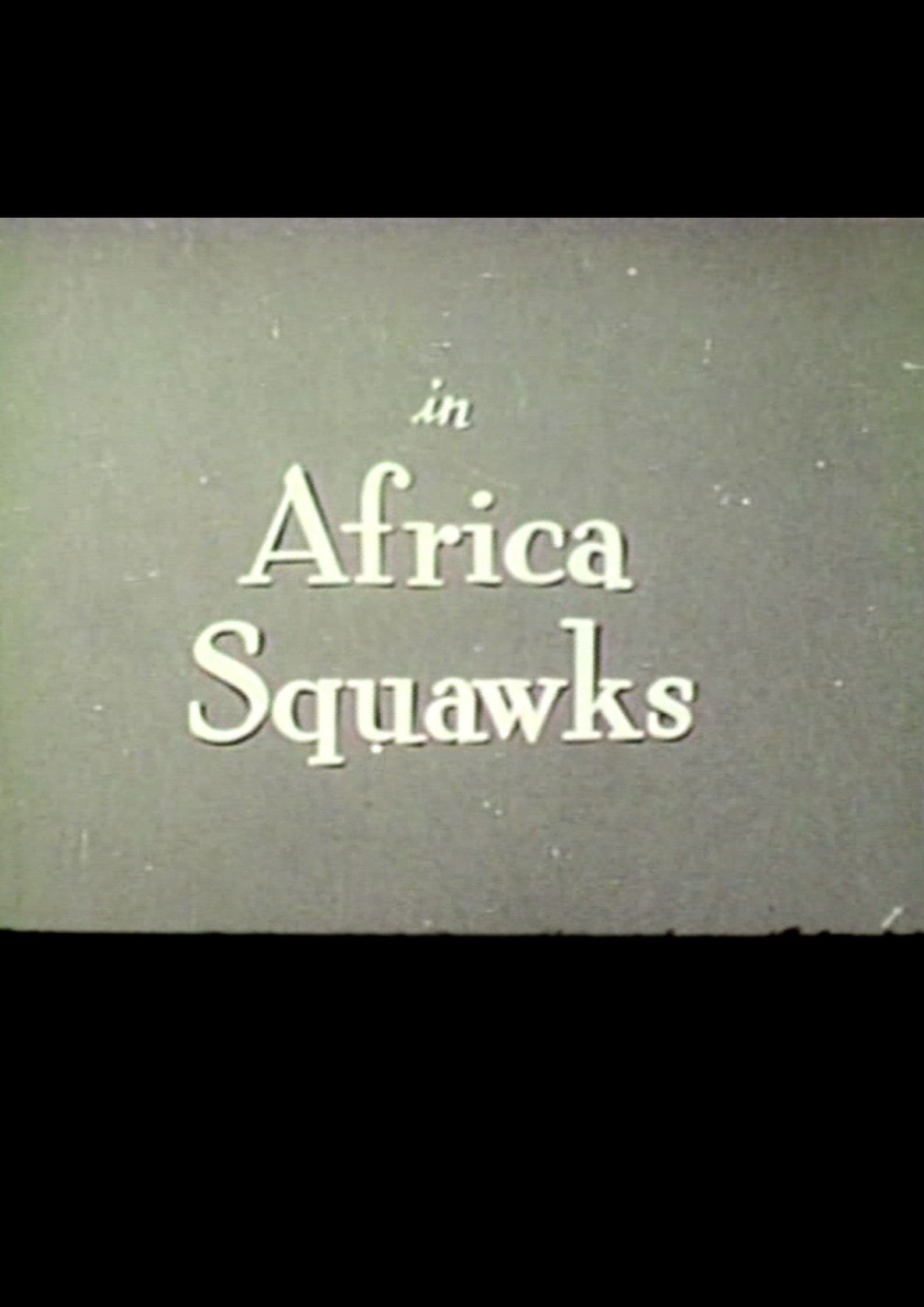 Africa Squawks