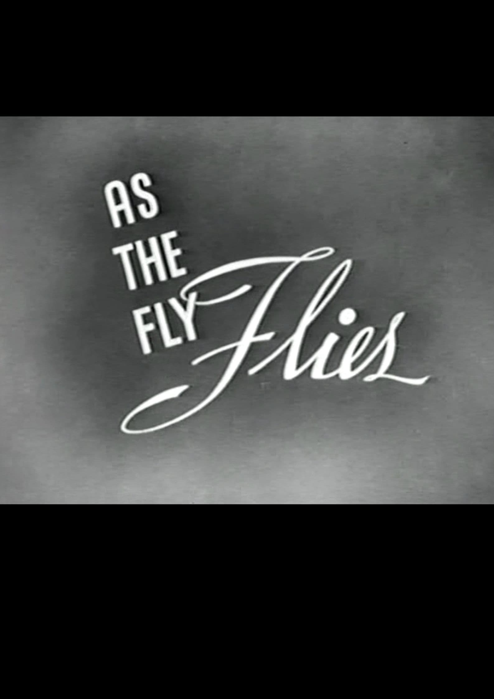 As the Fly Flies