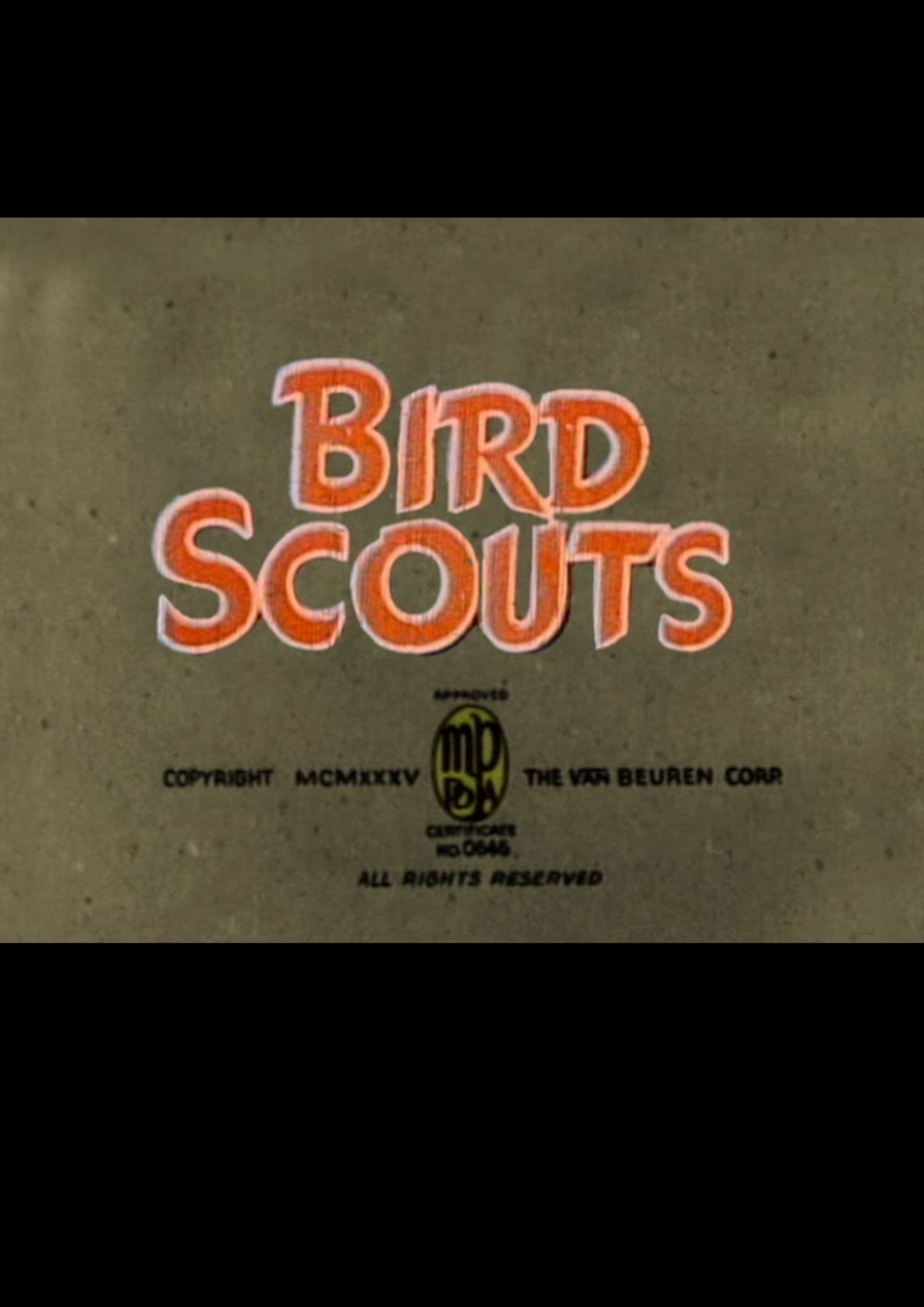 Bird Scouts