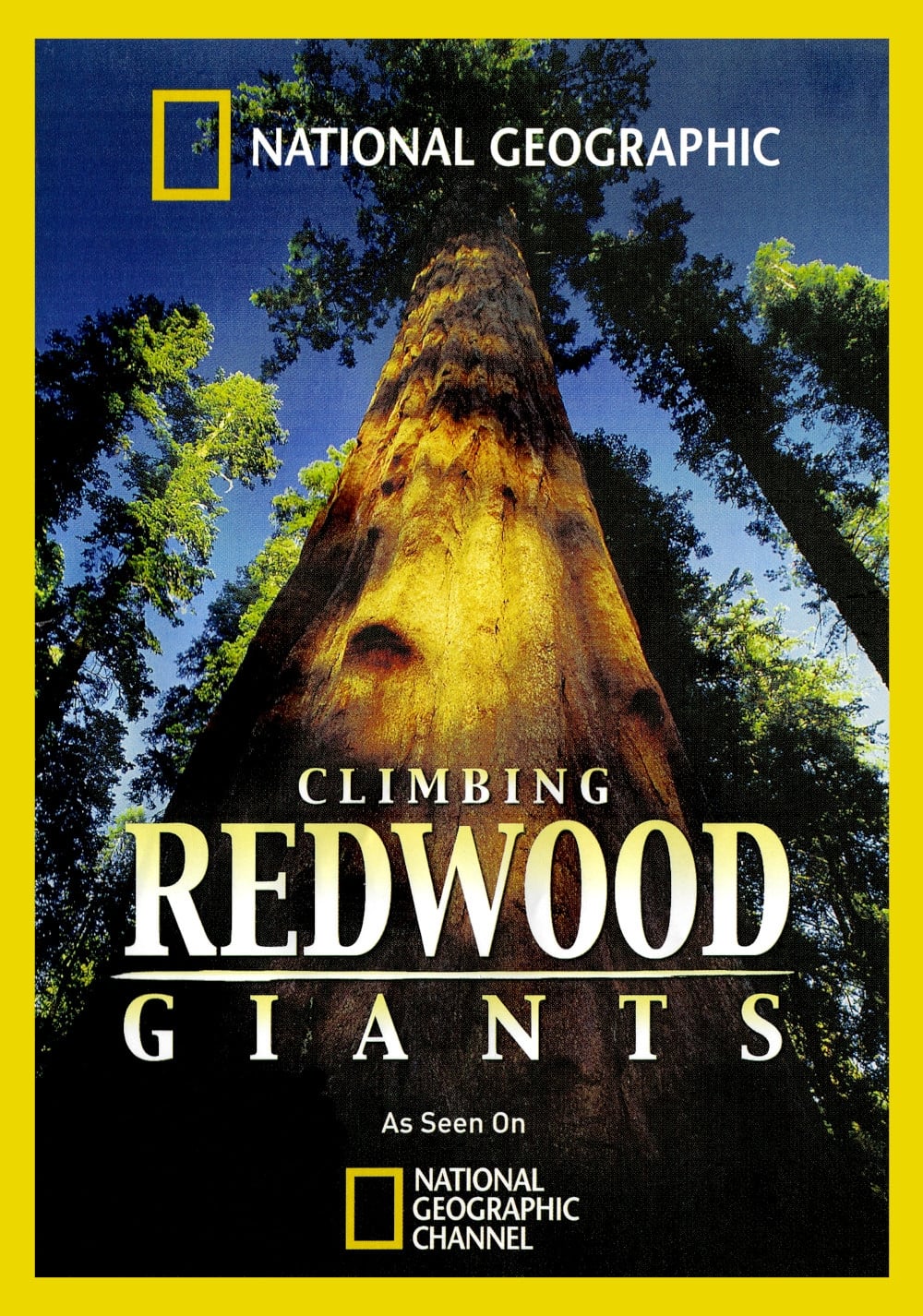 Climbing Redwood Giants