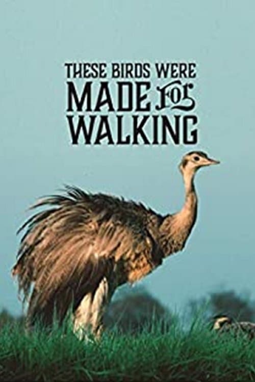 These Birds Were Made for Walking