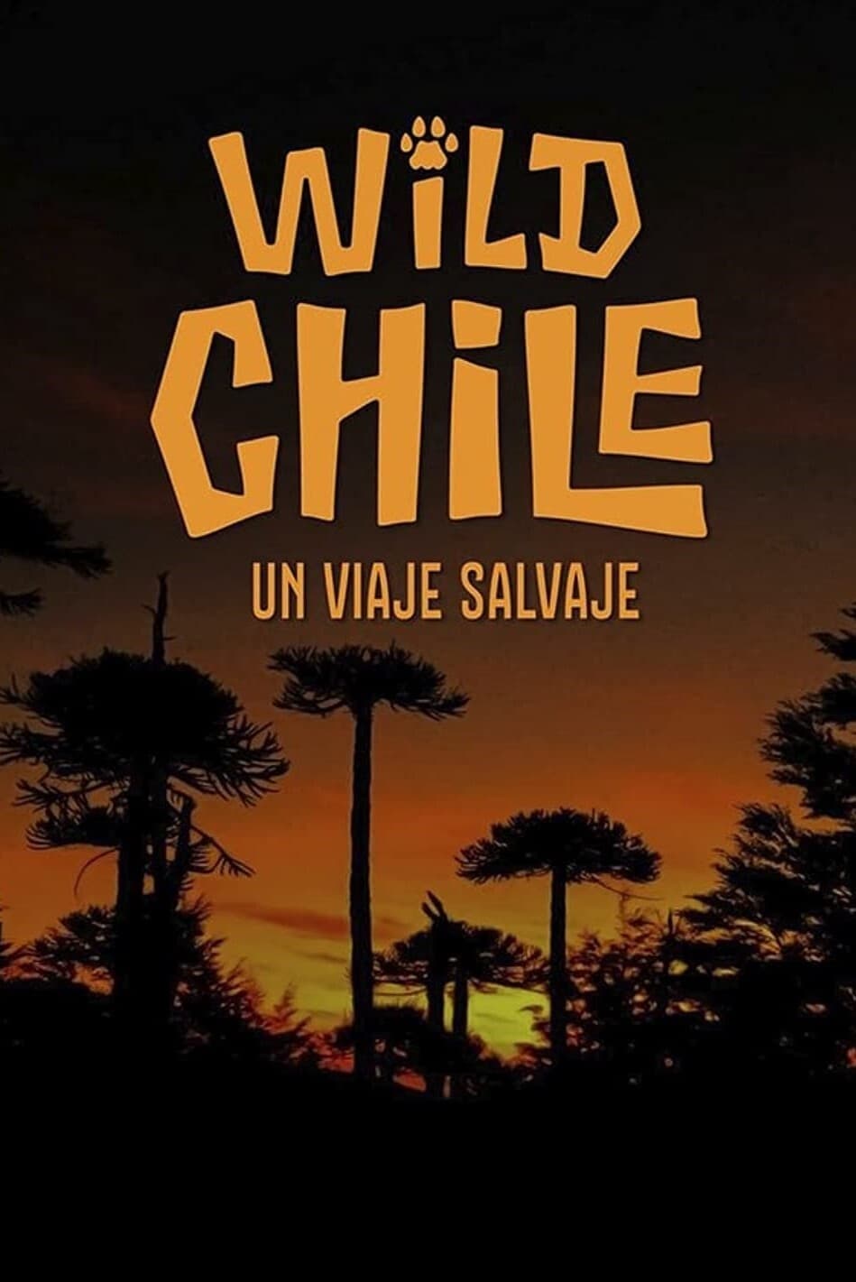 Chile: A Wild Journey - The Special