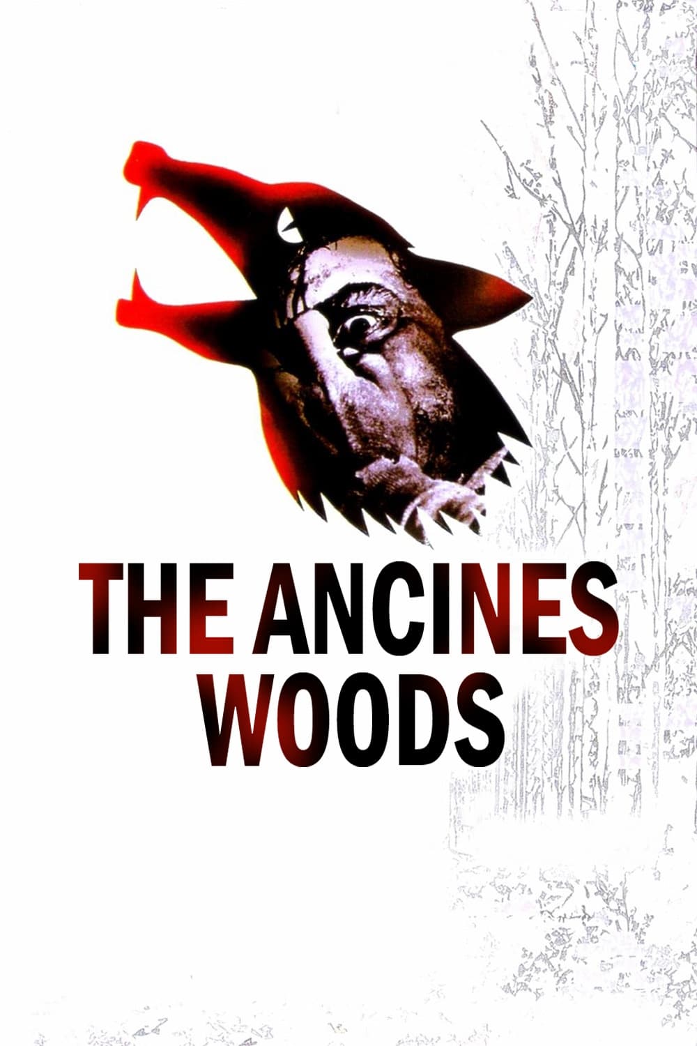 The Ancines Woods (1970)