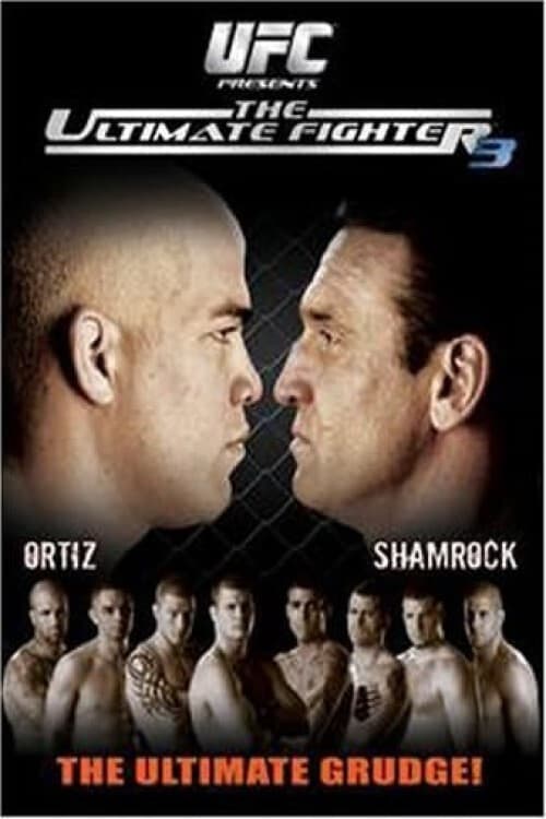 The Ultimate Fighter 3 Finale (2006)