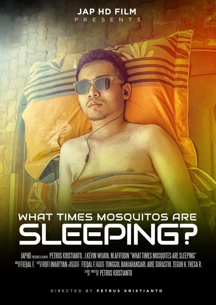 What Times Mosquitos Are Sleeping?