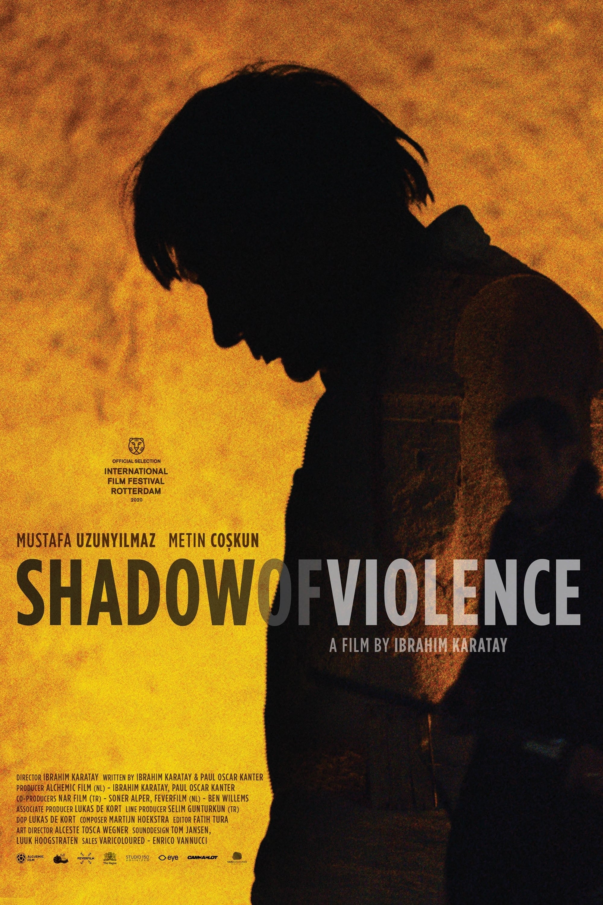 Shadow of Violence