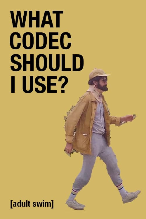 What Codec Should I Use?