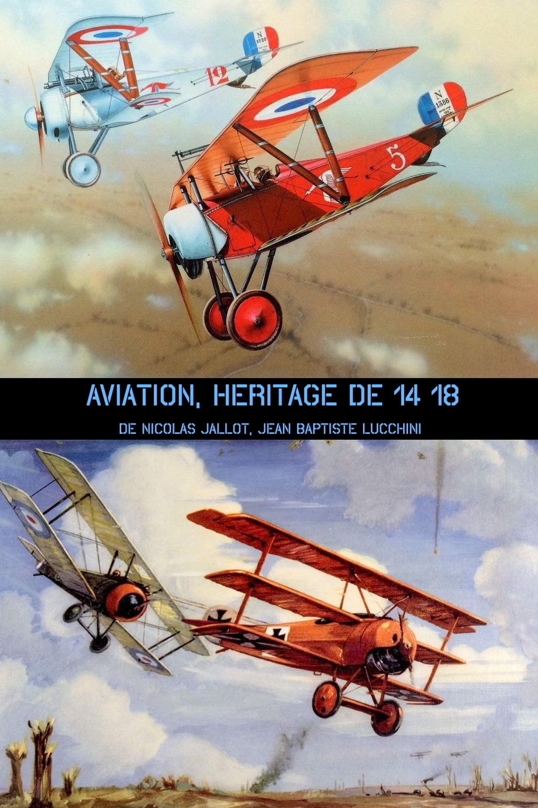 Aviation, héritage de 14-18