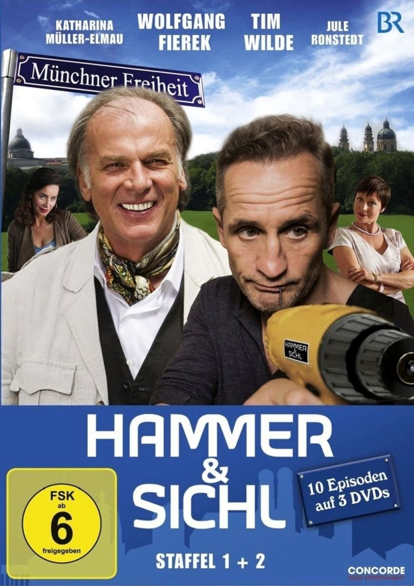 Hammer & Sichl (2013)