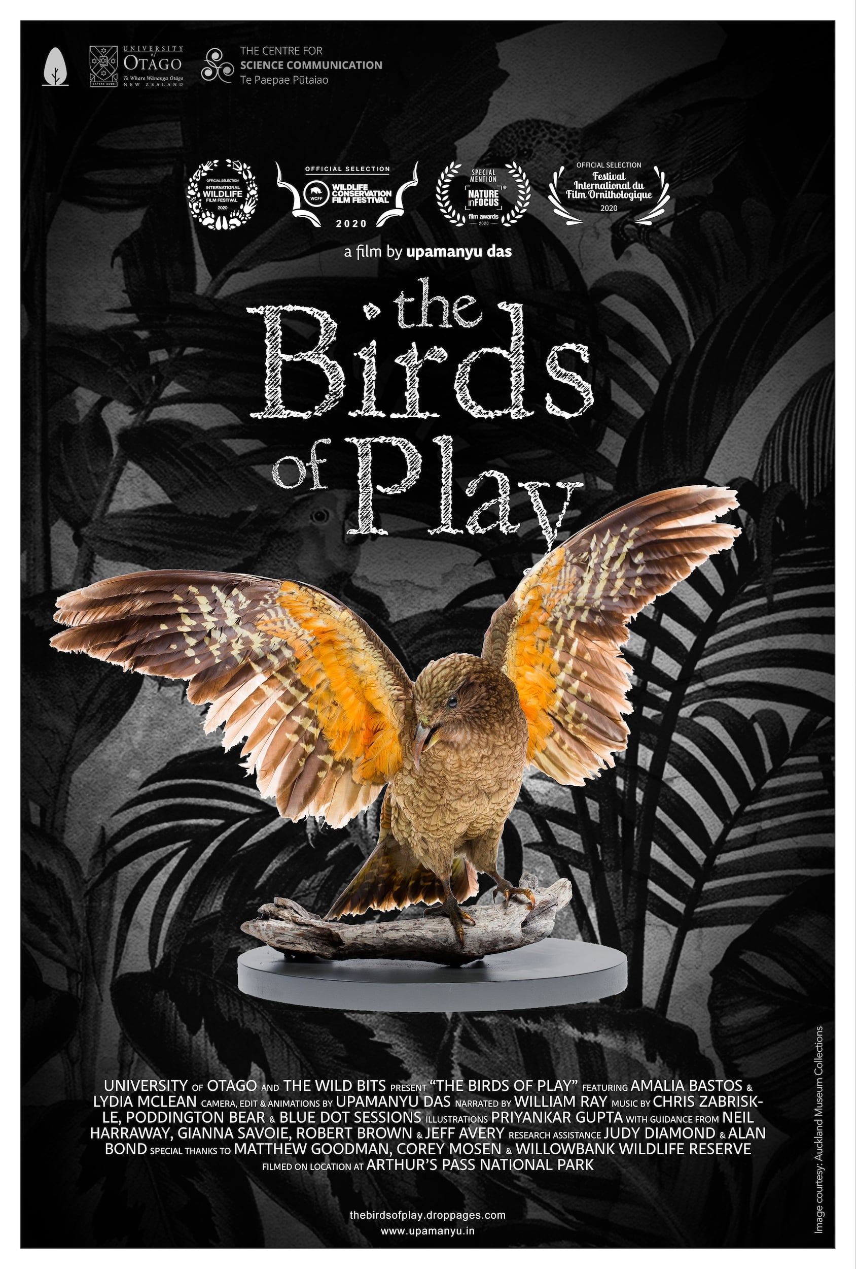 The Birds of Play