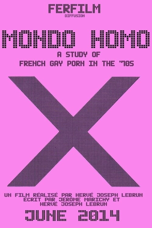 Mondo Homo: A Study of French Gay Porn in the '70s