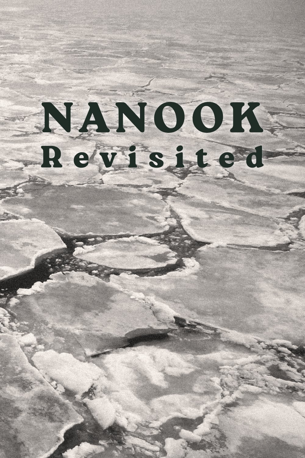 Nanook Revisited (1988)