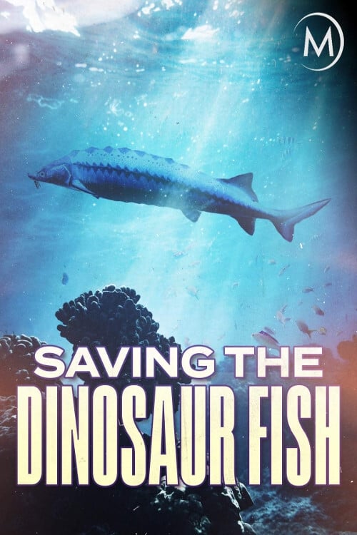 Saving the Dinosaur Fish
