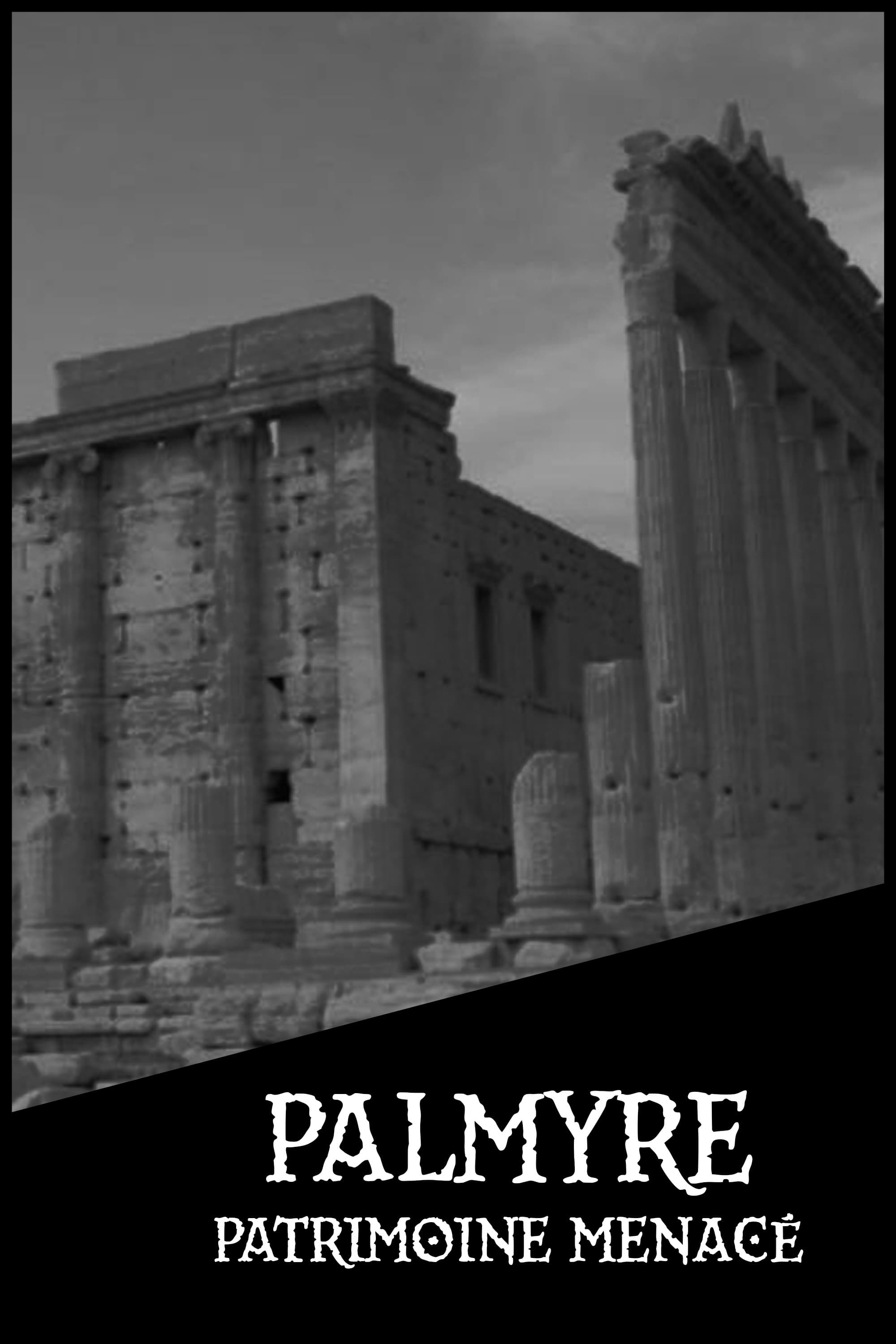 Palmyre, patrimoine menacé
