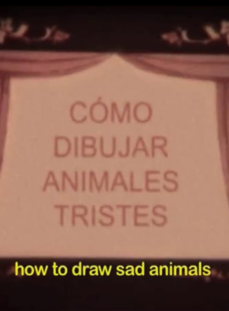 How to draw sad animals or notebook of all the living and dead things that I imagined the night you went away forever