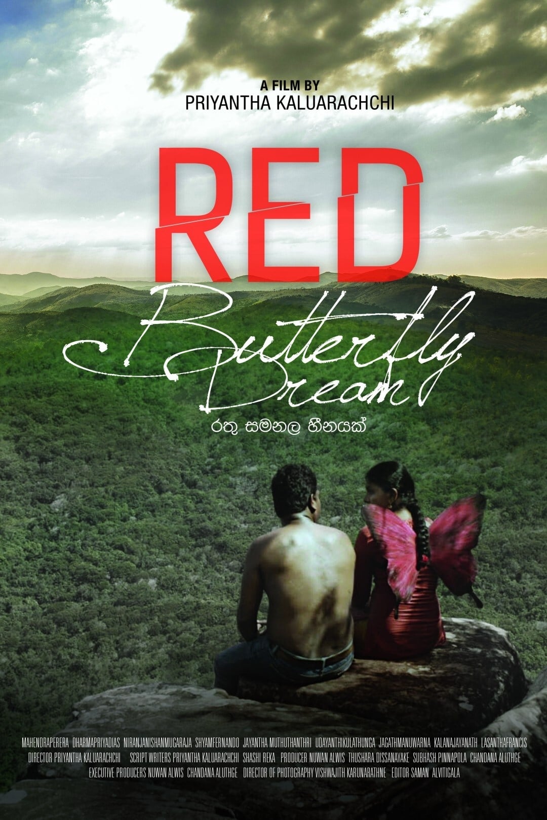 Red Butterfly Dream