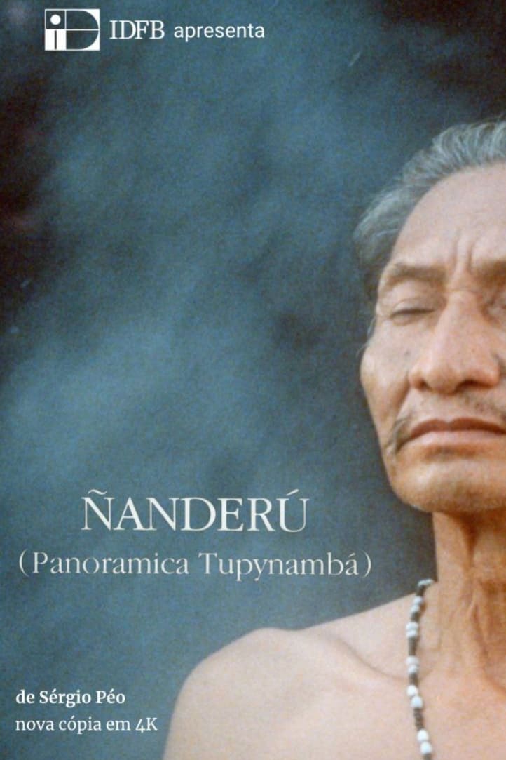 Ñanderú - Panorâmica Tupinambá