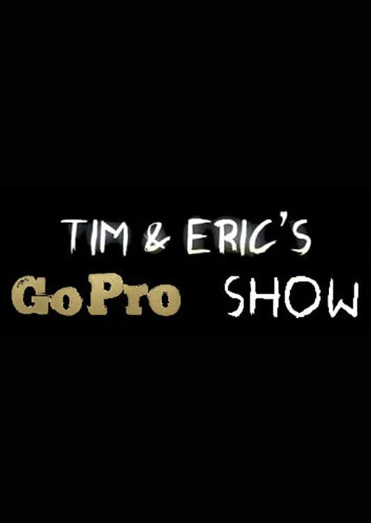 Tim and Eric's Go Pro Show (2013)