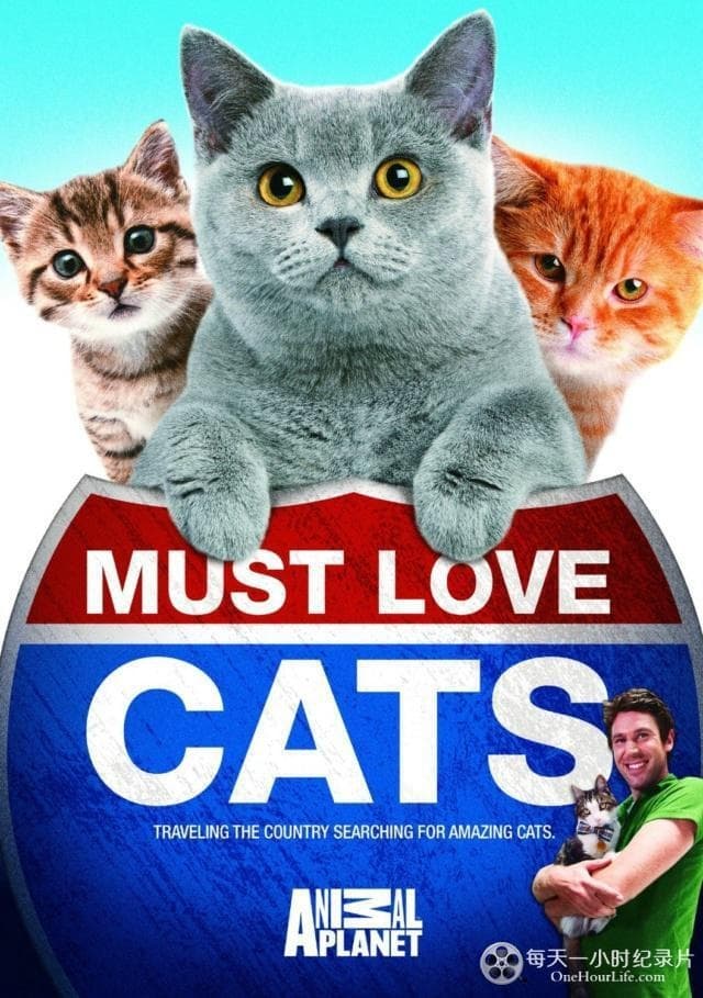 Animal Planet: Must Love Cats (2011)