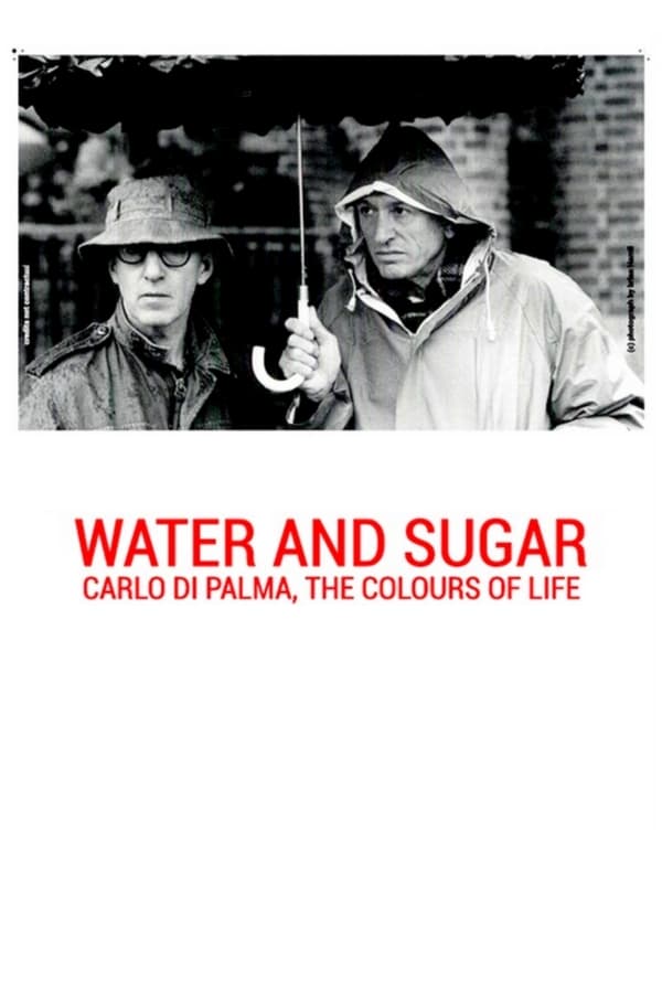 Water and Sugar: Carlo Di Palma, the Colours of Life (2016)