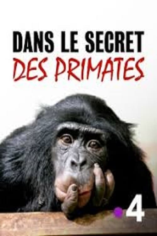 Dans le secret des primates