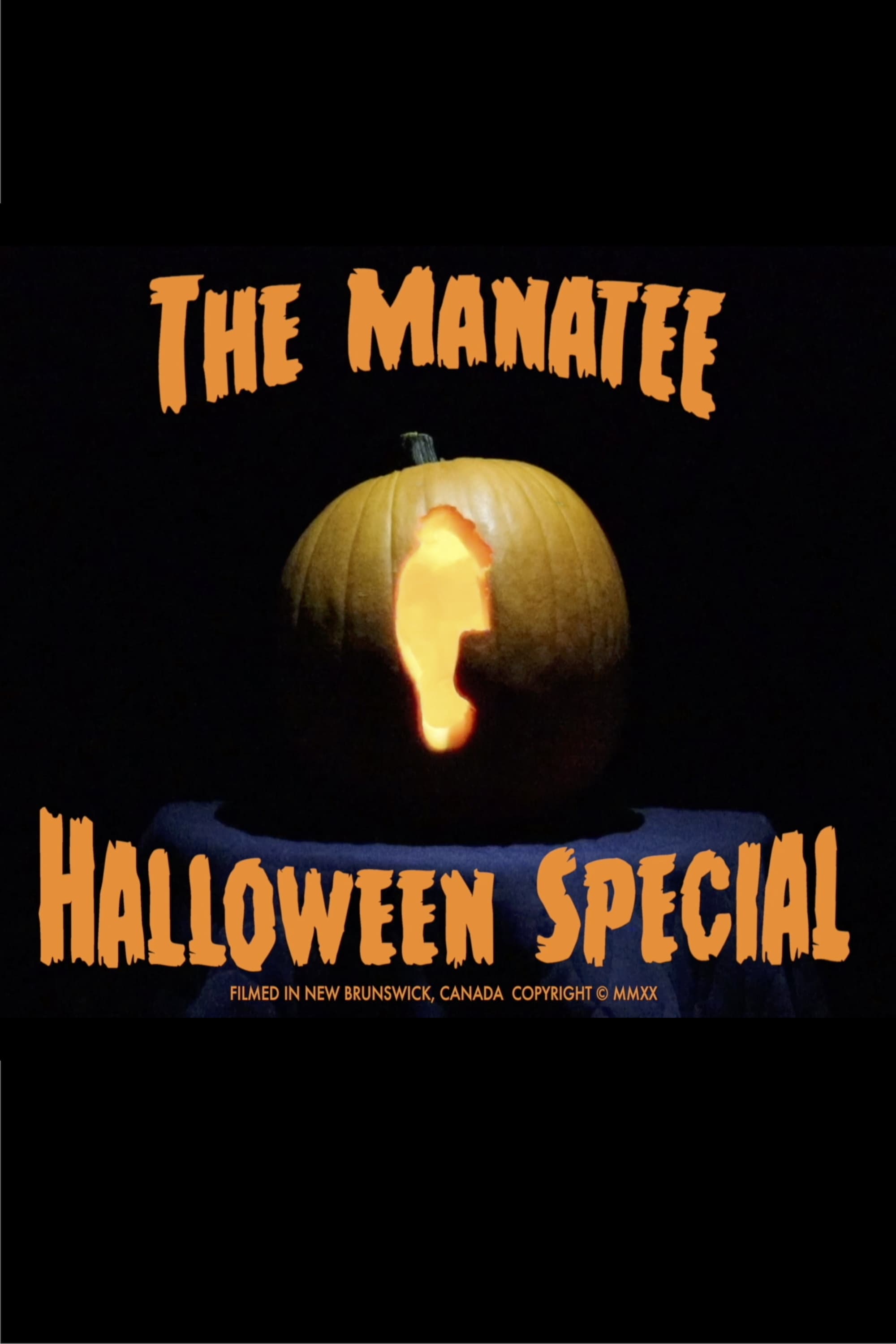 The Manatee Halloween Special