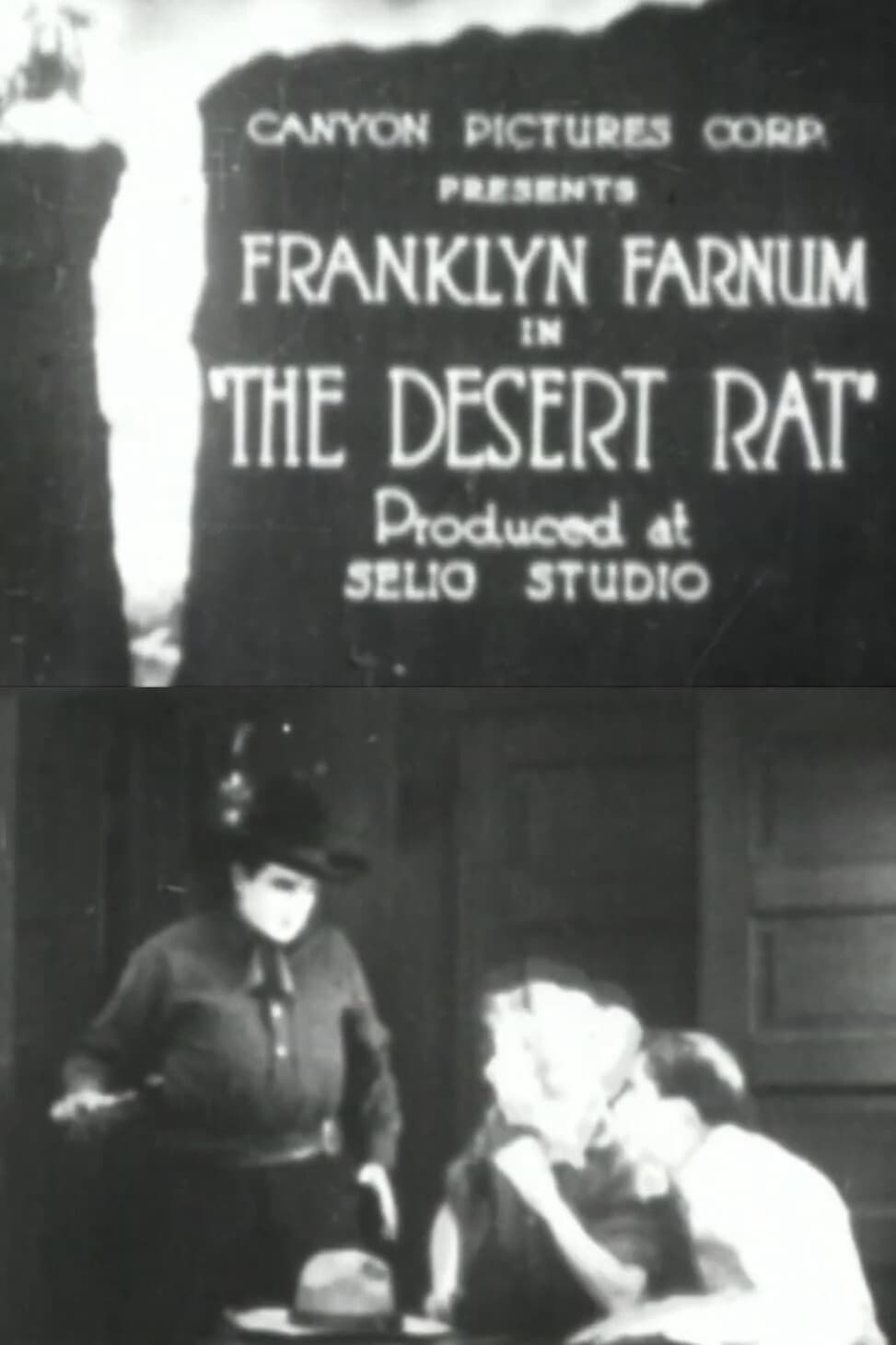 The Desert Rat (1919)