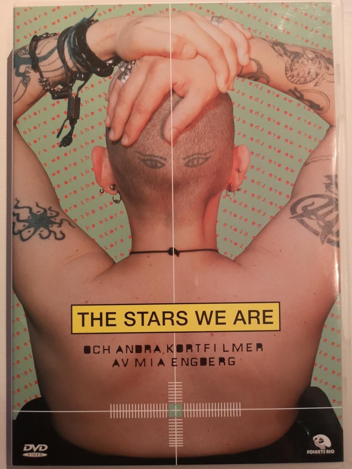 The Stars We Are