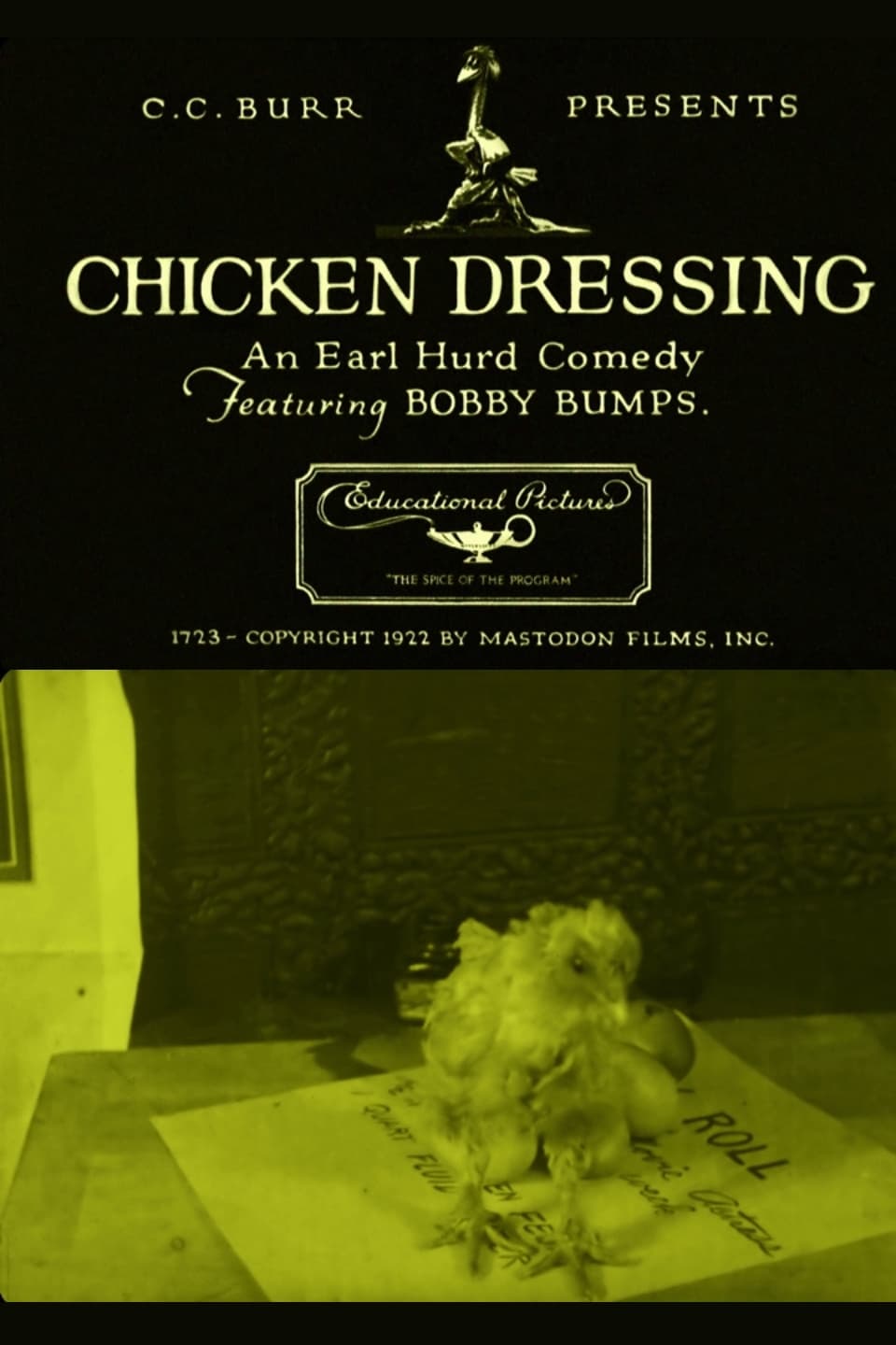 Chicken Dressing