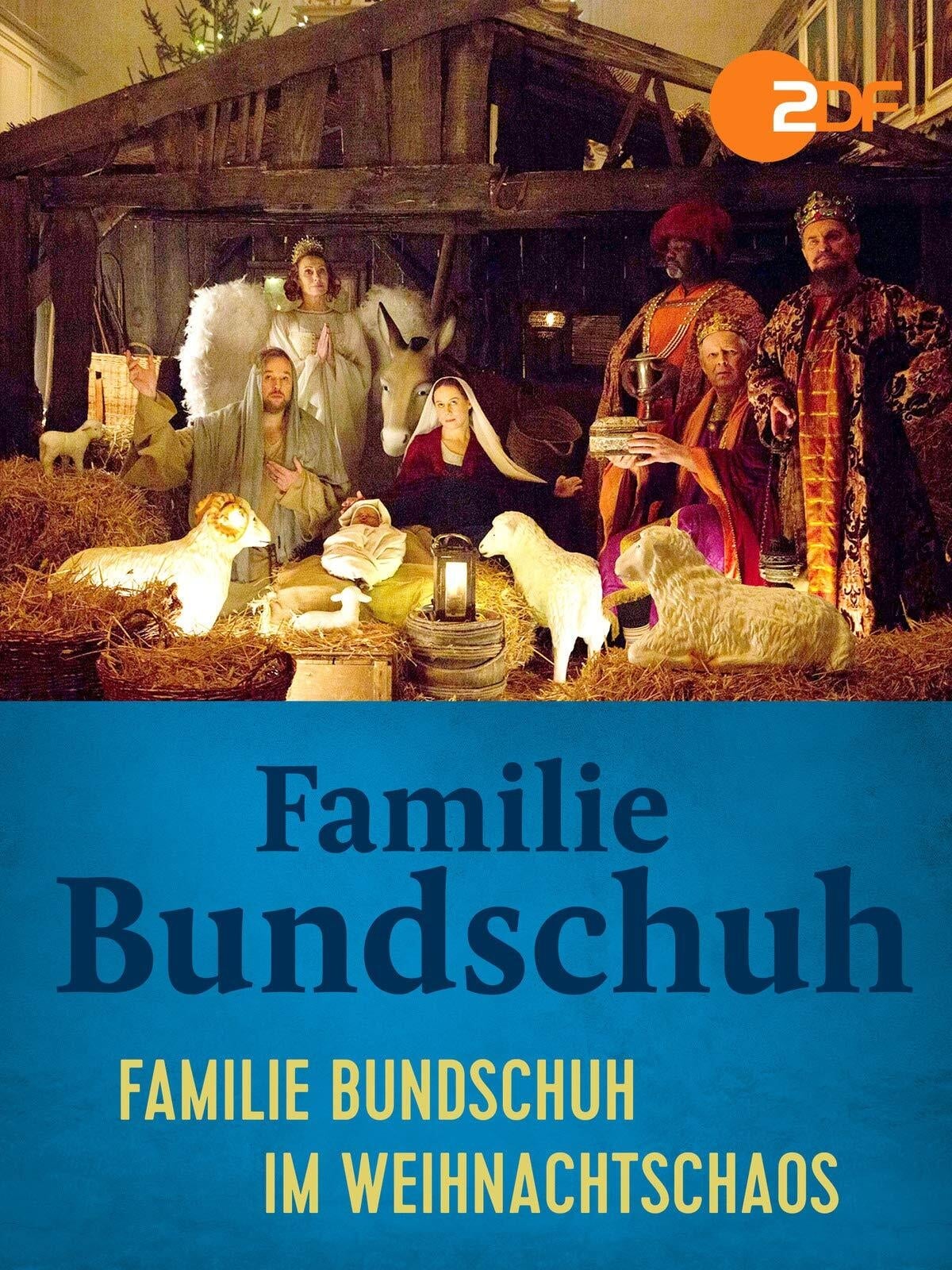 Familie Bundschuh im Weihnachtschaos (2020)