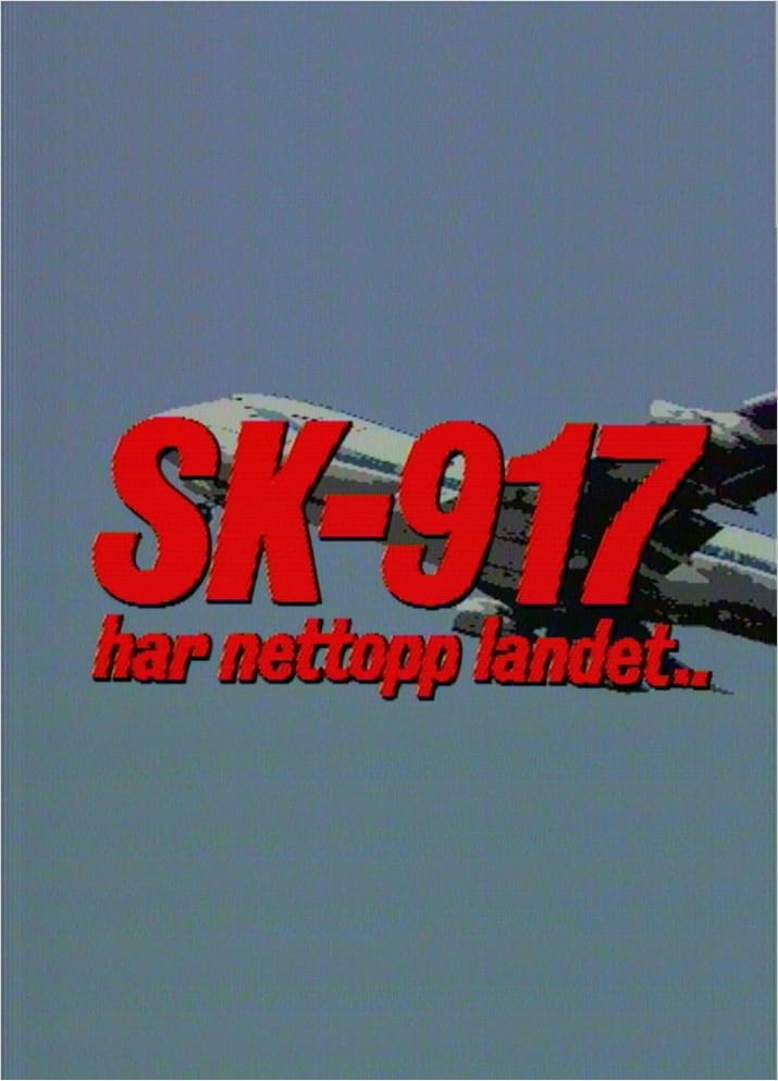 SK 917 har nettopp landet