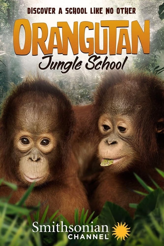 Orangutan Jungle School (2018)