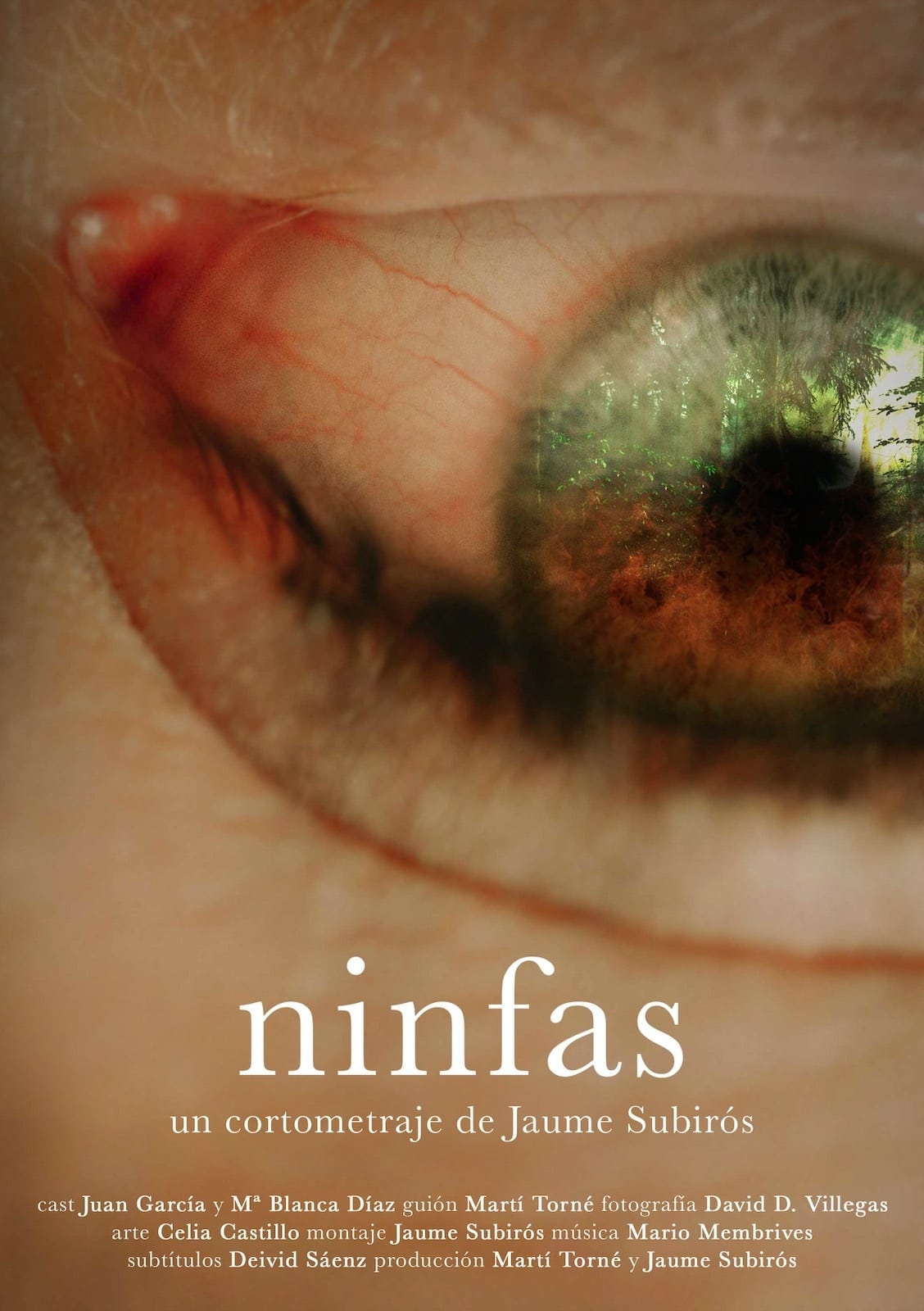 Ninfas
