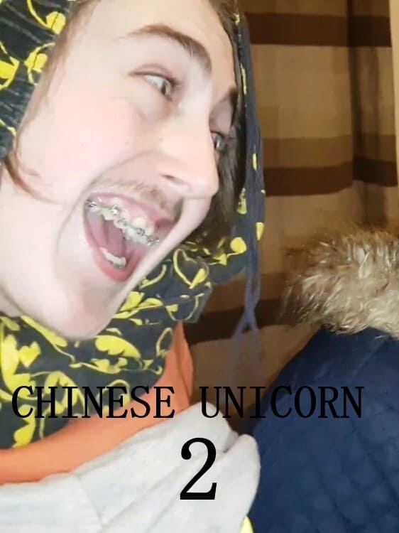 Chinese Unicorn 2: The Façade of Deceit