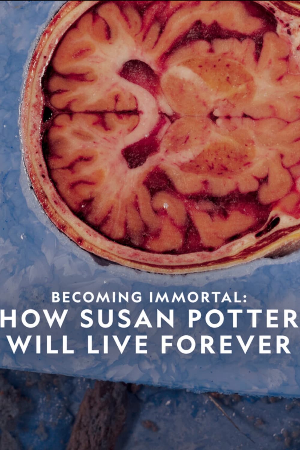 Becoming Immortal: How Susan Potter Will Live Forever