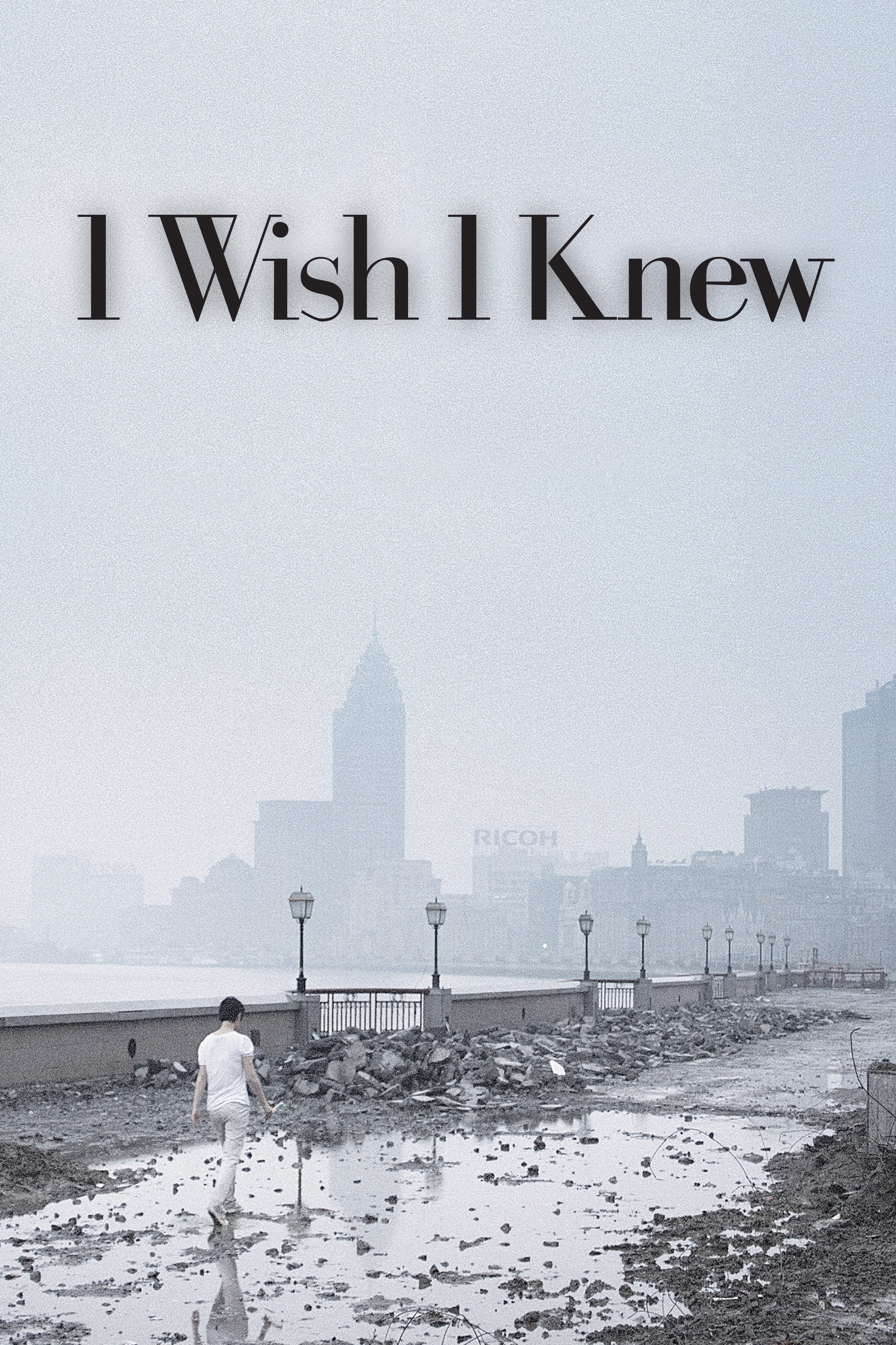 I Wish I Knew (2010)