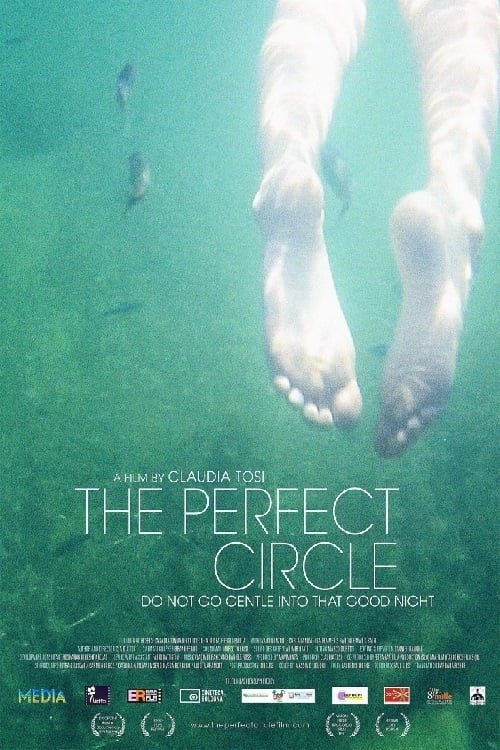 The Perfect Circle