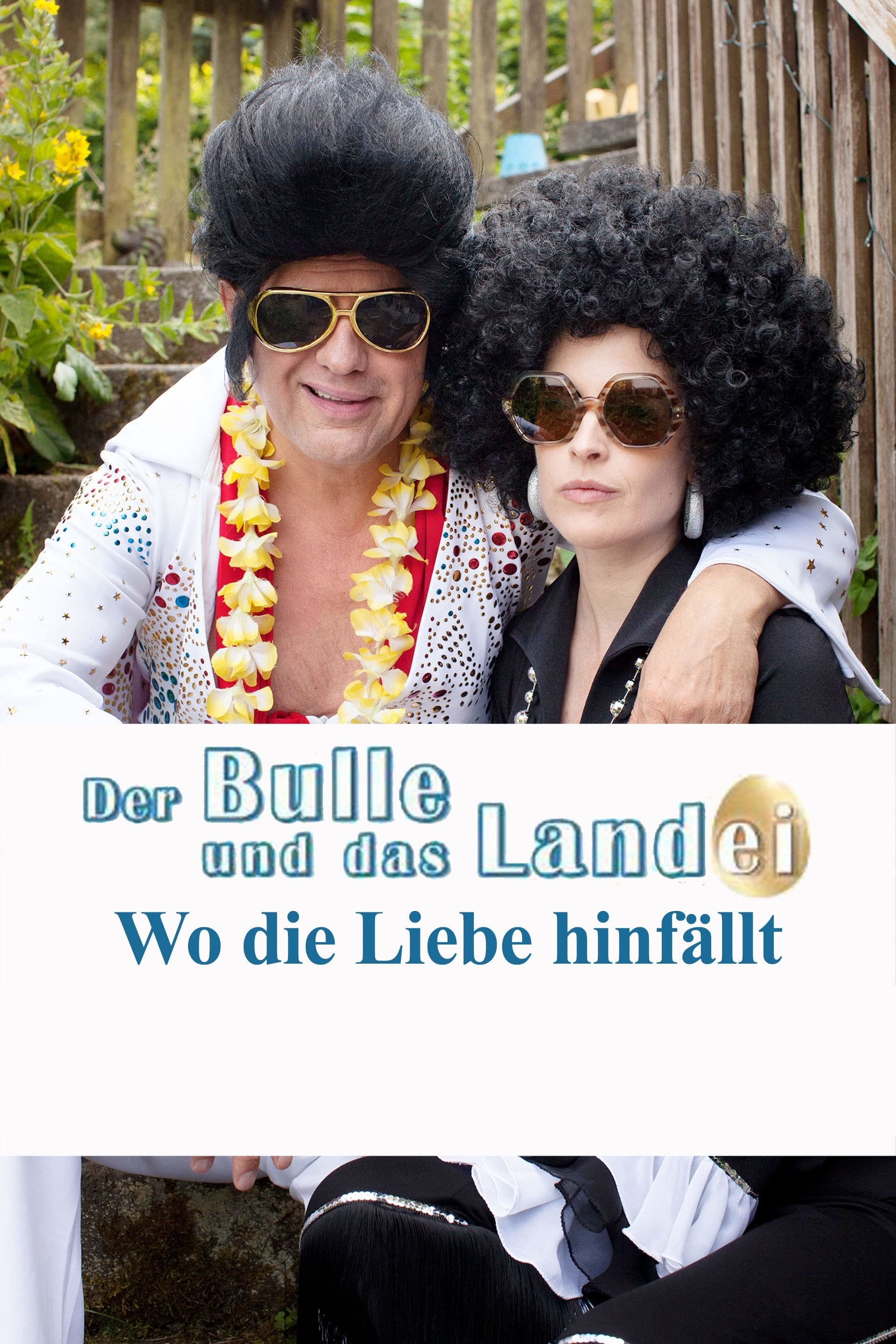 Der Bulle und das Landei - Wo die Liebe hinfällt (2015)