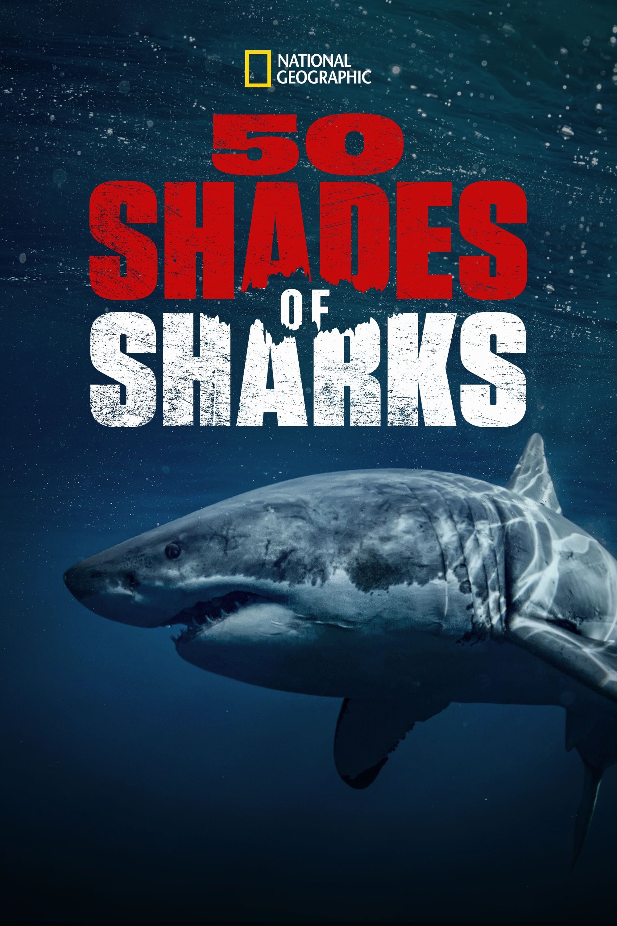50 Shades of Sharks