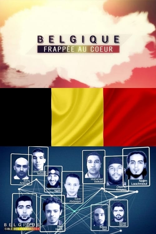 Belgique frappée au cœur (2017)