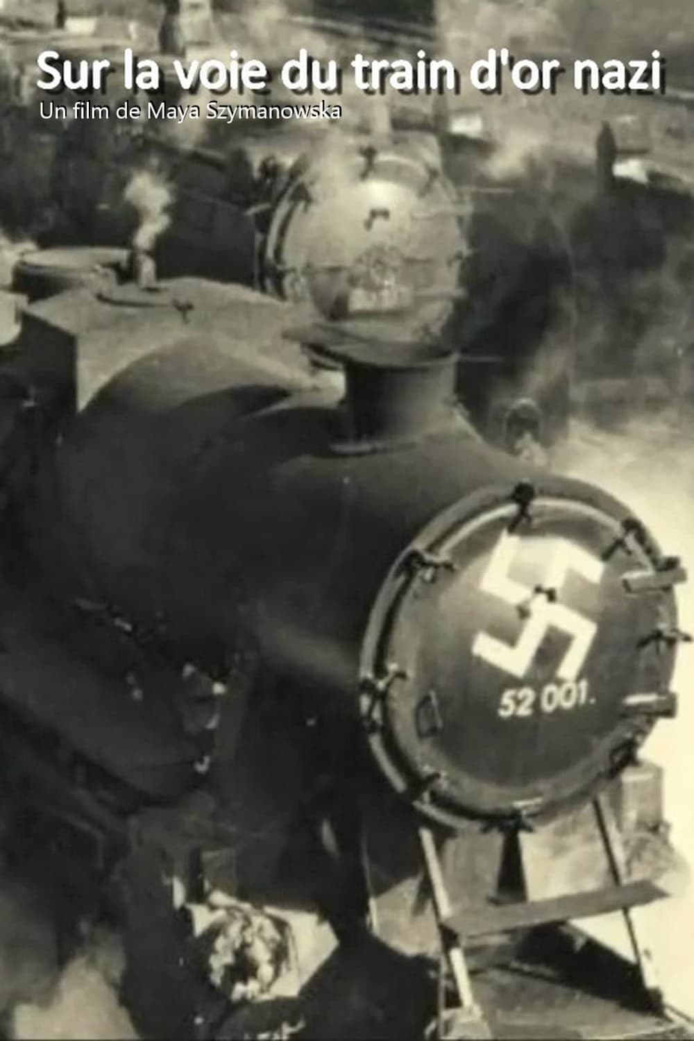 Sur la voie du train d'or nazi