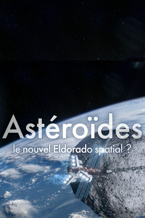 Asteroids - A New El Dorado in Space?