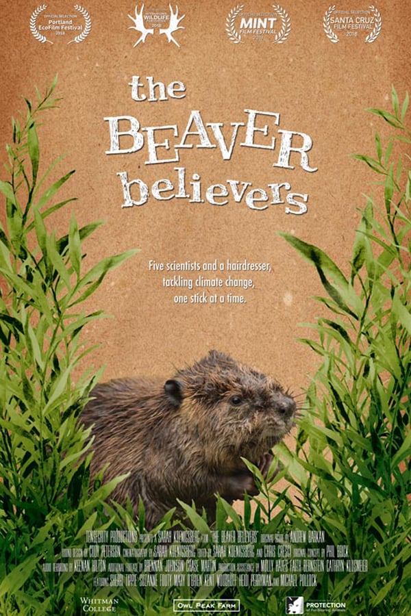 The Beaver Believers