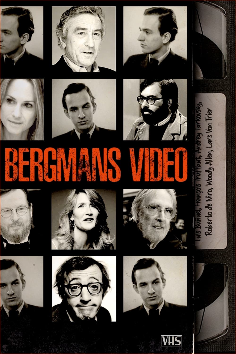Bergmans Video (2014)