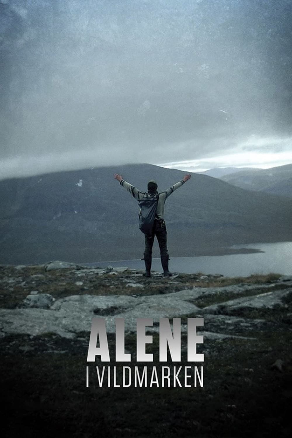 Alone in the Wilderness (2017)