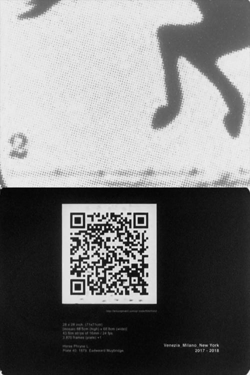 QR Code/Film [#2]
